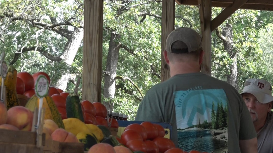 Extreme weather cuts harvest season short - Vimarsana News