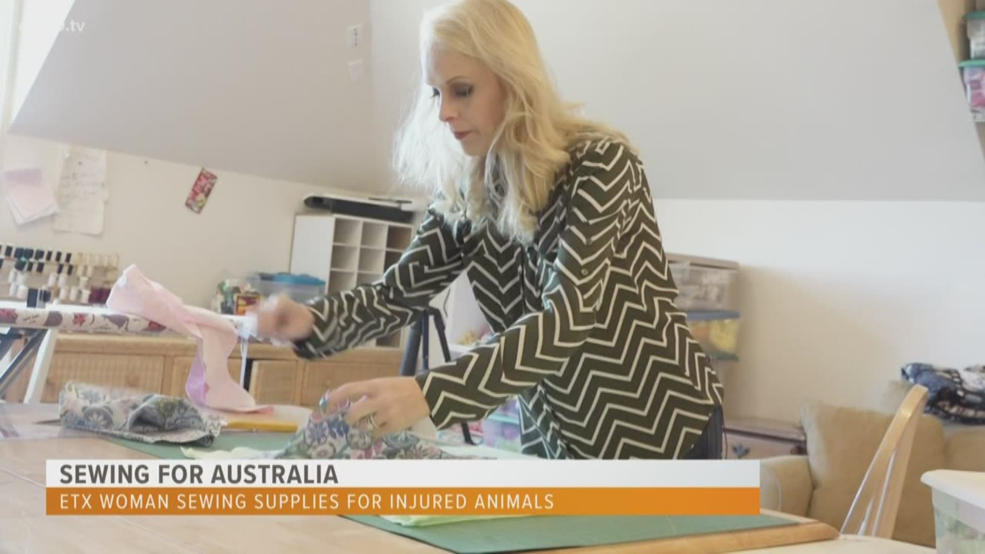 Connie Fleming from Flint is turning her passion for sewing into a resource to help injured Australian animals.