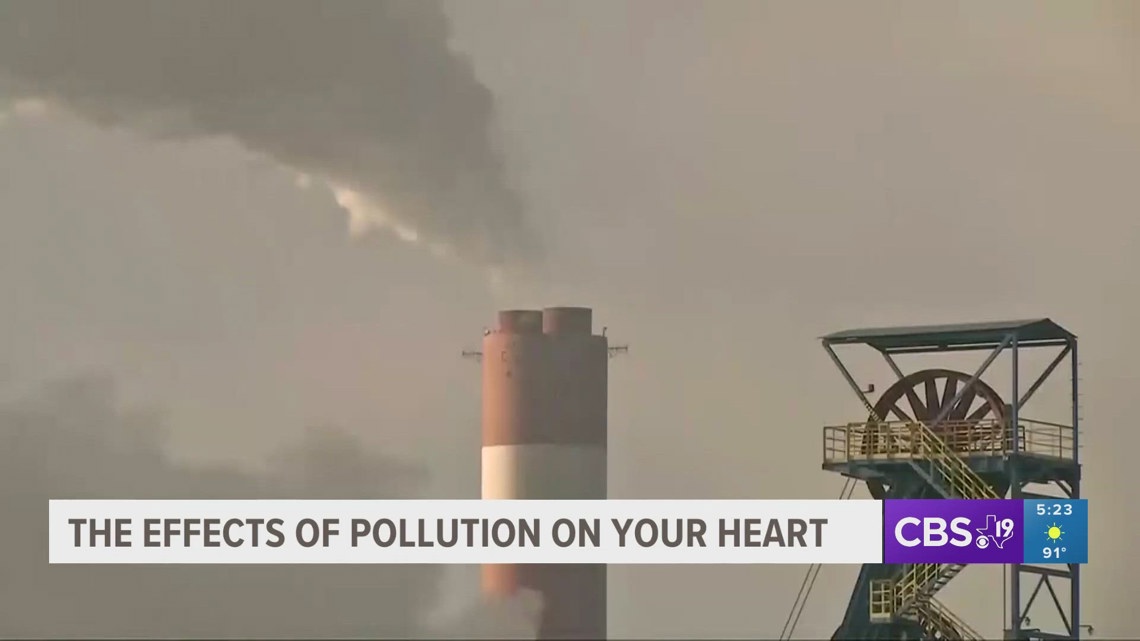 HEALTH: The effects of pollution on your heart
