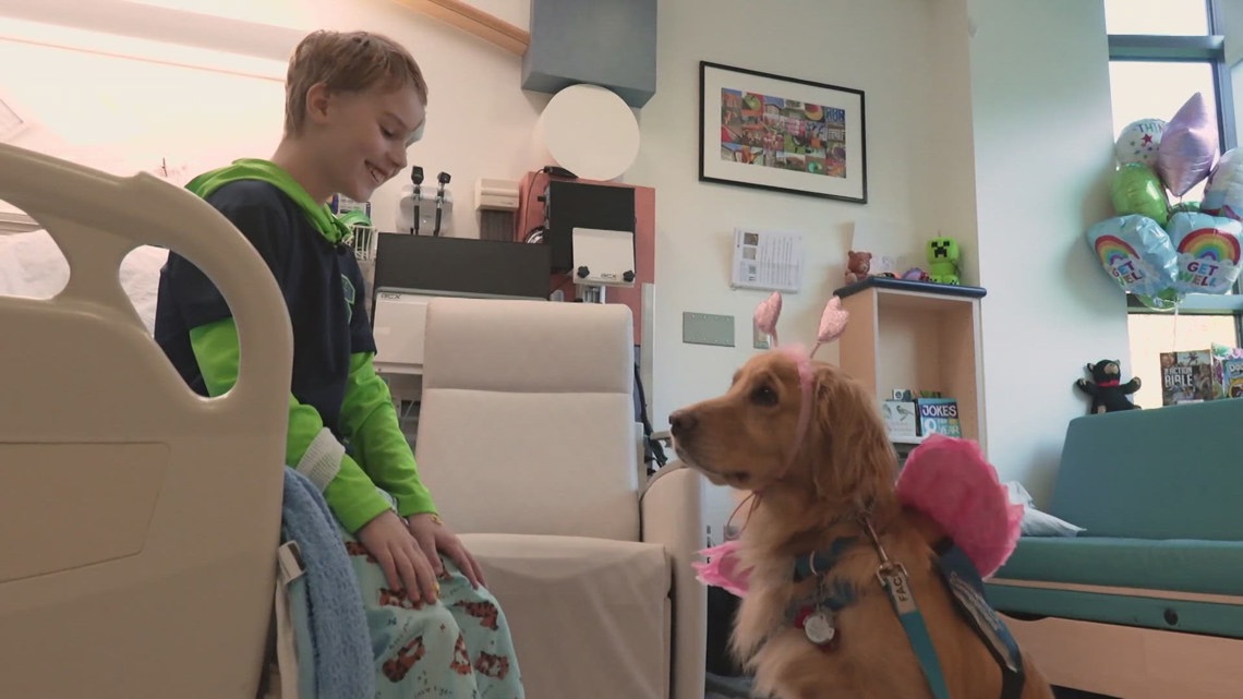 Four-legged cupids visit sick kids in hospital