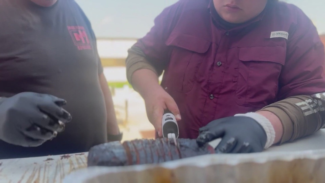 Texas students fire up future culinary careers through Pearland High School’s growing BBQ club