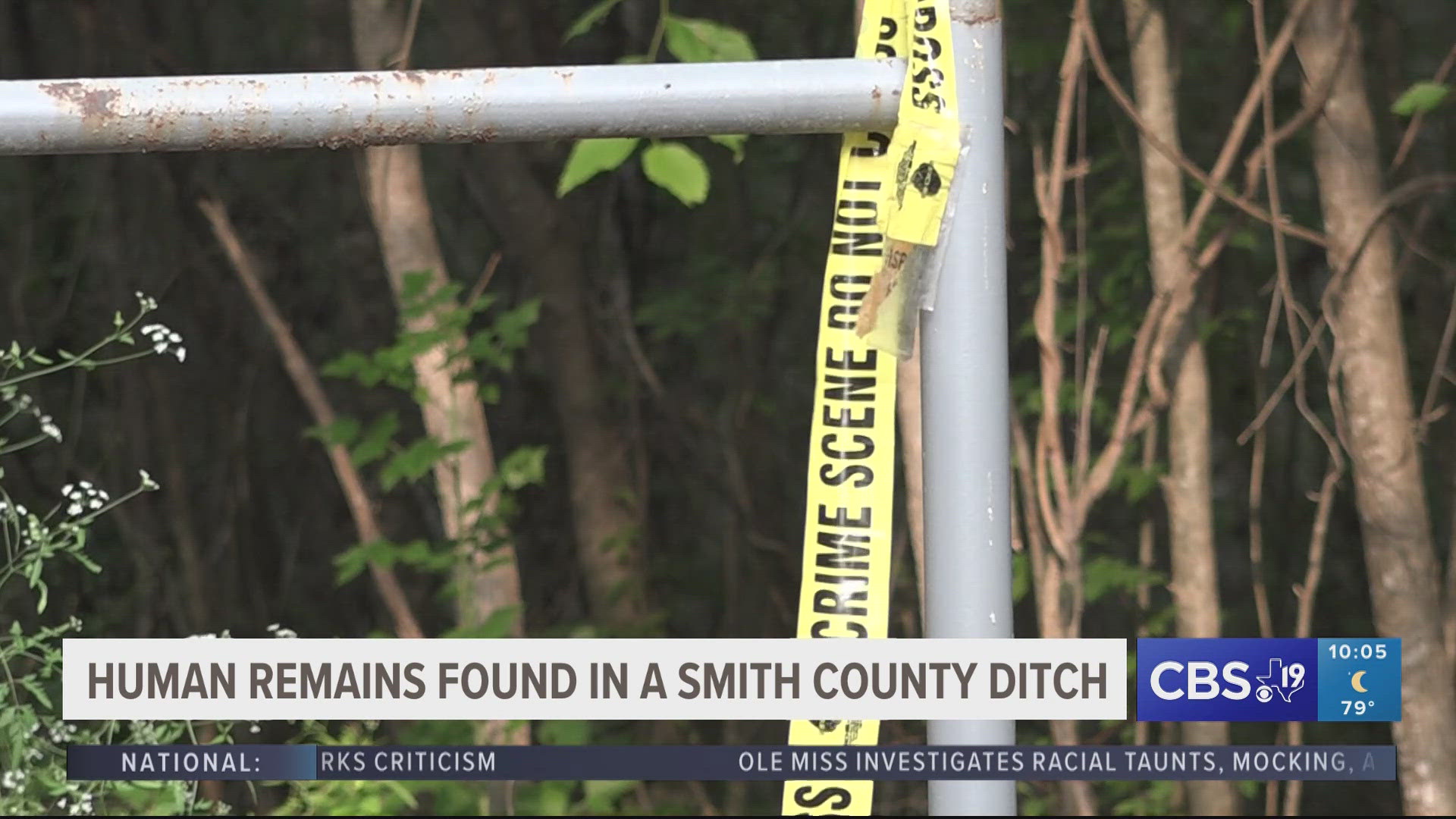Officials are investigating after human remains were located between Whitehouse and Troup.