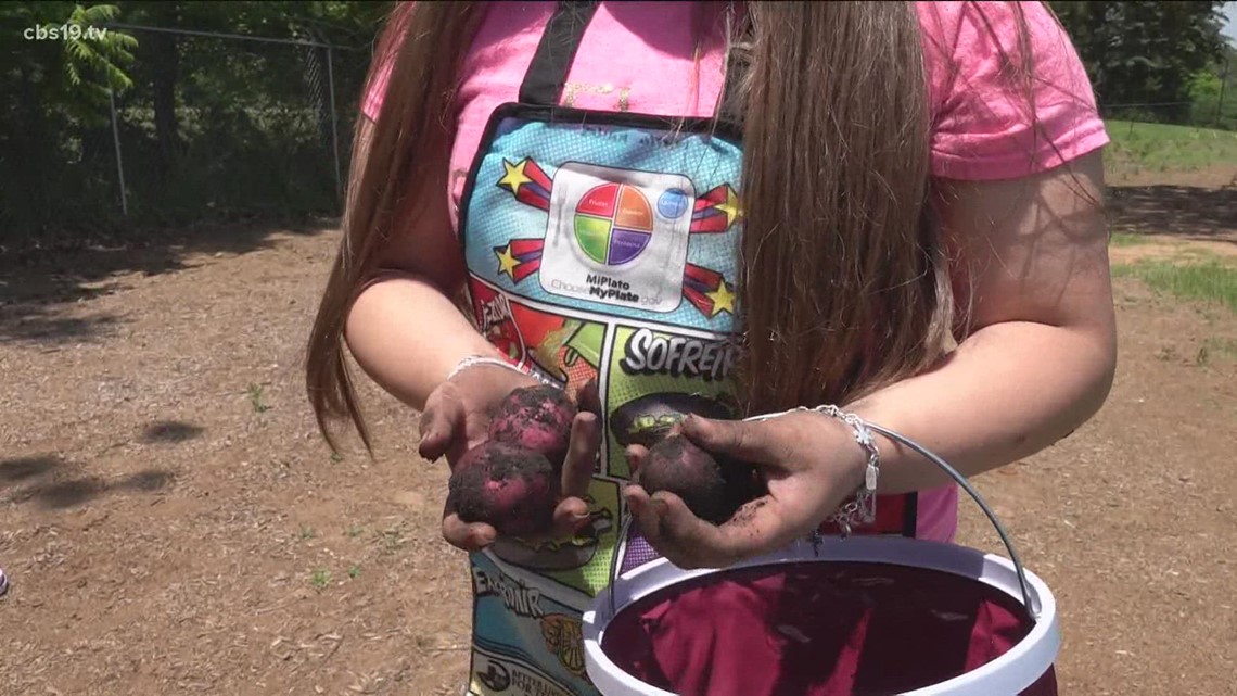 Fourth graders find their green thumb