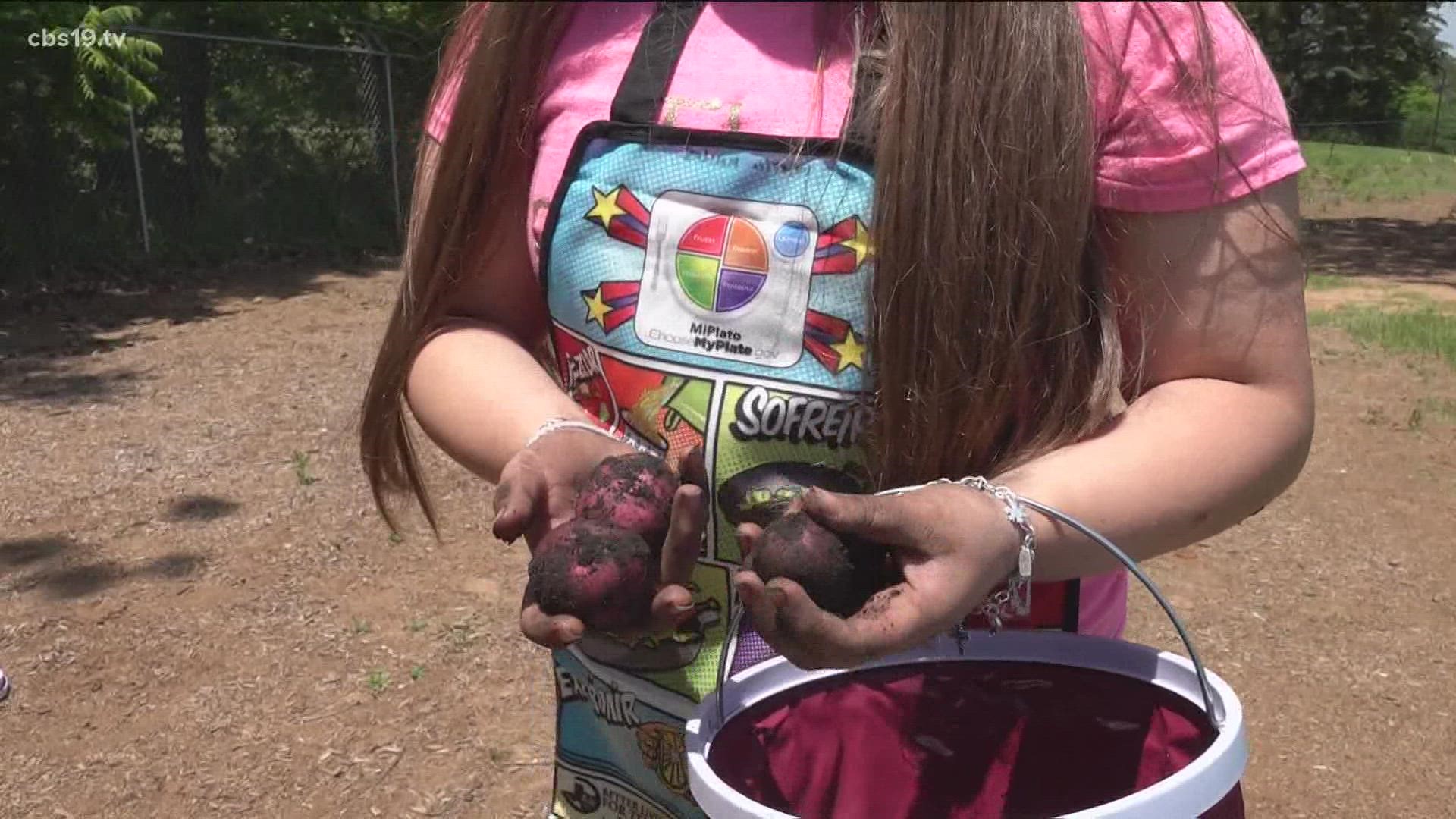 Learn Grow Eat Go is a gardening program through Texas A&M Agrilife extension.