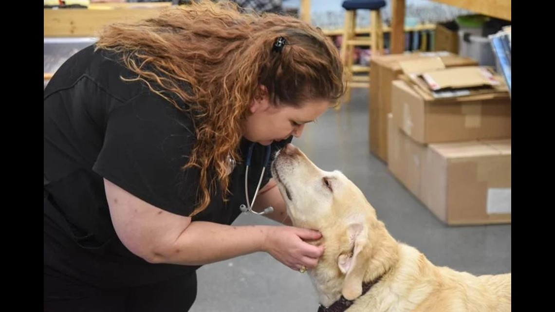 Husband and wife team up for mobile veterinary services | cbs19.tv