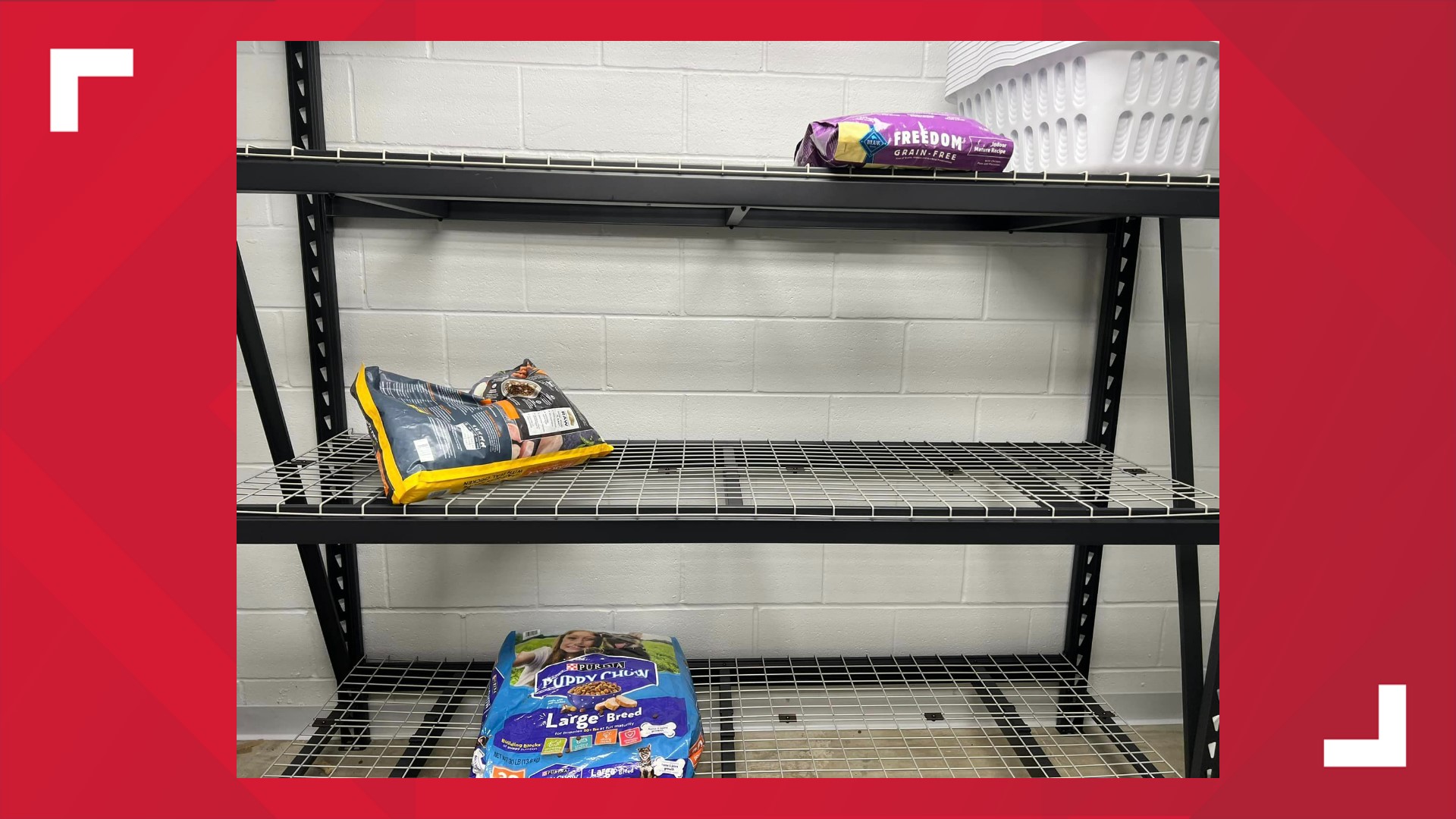 Marshall pet shelter needs pet food for animals cbs19.tv