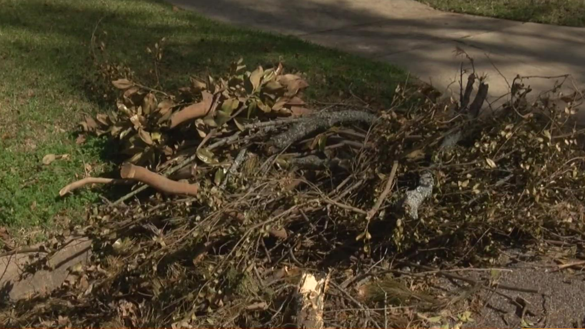 According to the Tyler Solid Waste Director Leroy sparrow said they have nearly picked up half of the 2,400 request for debris removal in Tyler.