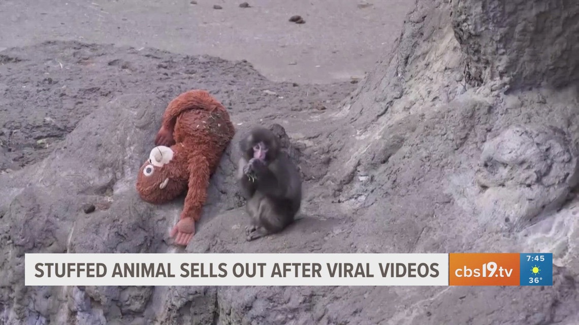 Ikea orangutan toy sells out after baby monkey bonds with plush surrogate