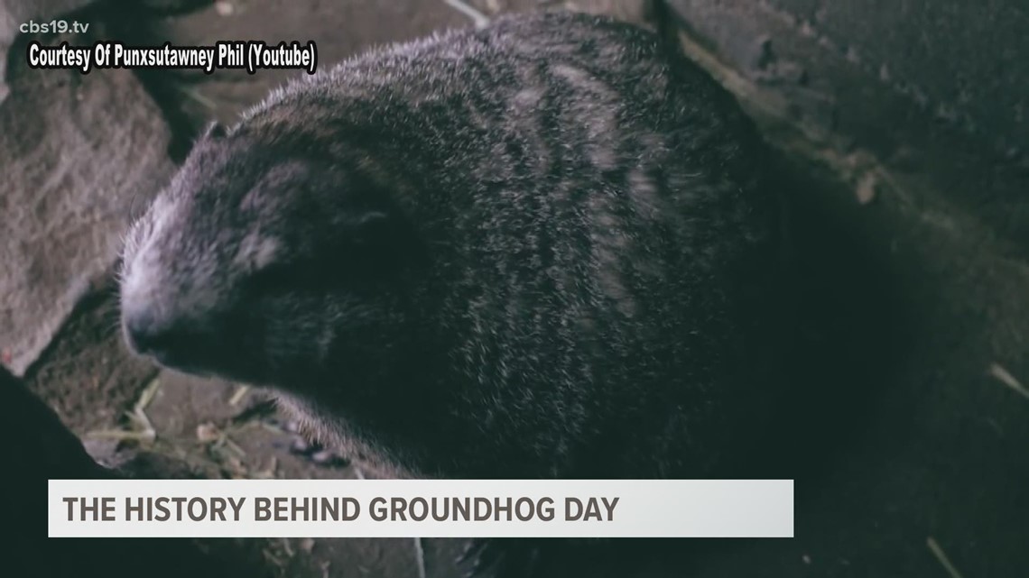 How did Groundhog Day get started? | cbs19.tv