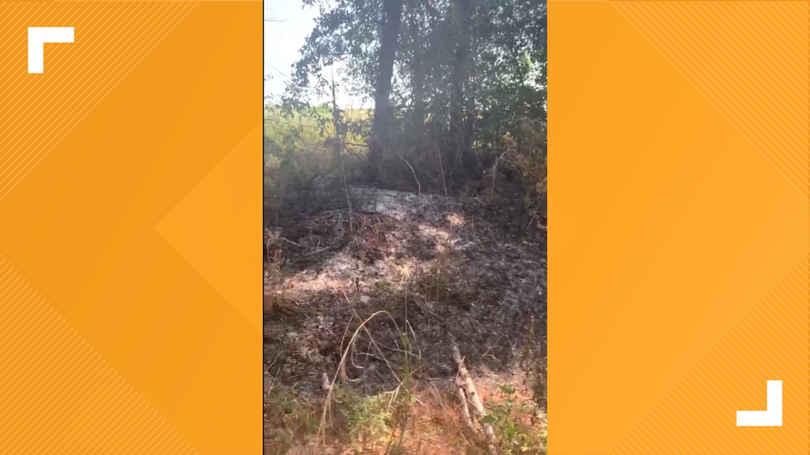 6 small fires set in Trinity County and searching for individual - Vimarsana News