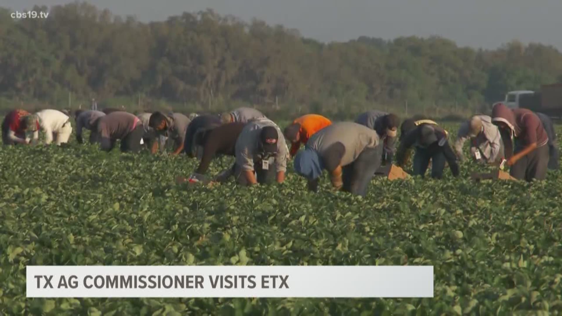 Texas Commissioner of Agriculture visits manufacturers and farmers in