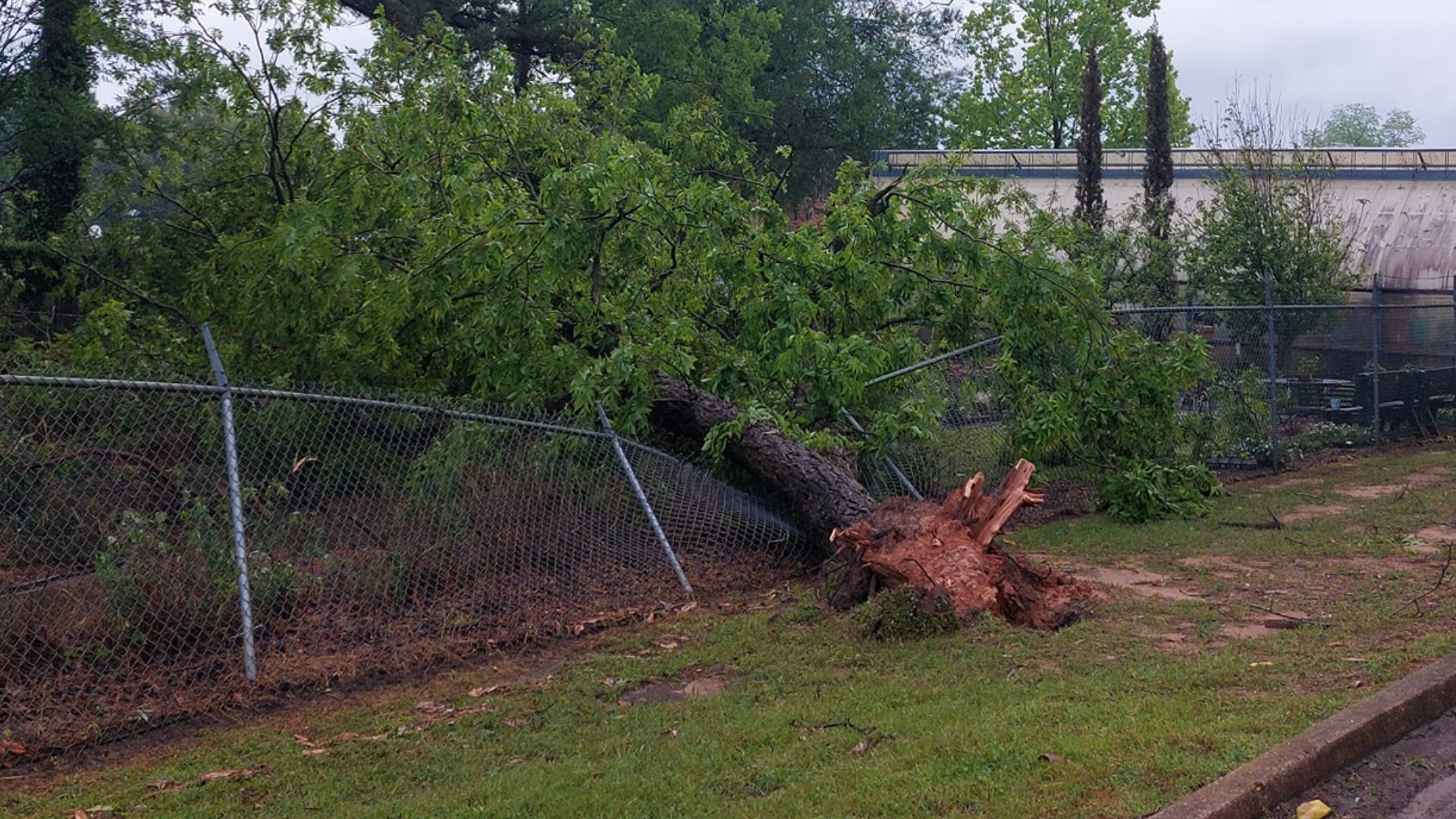 Crockett sees major weather damage, power outages, school closure