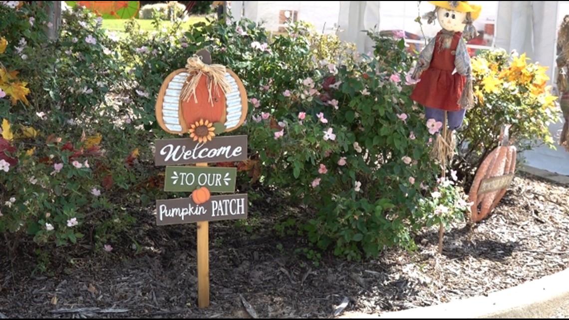East Texas experiencing low pumpkins at patches due to weather - Vimarsana News