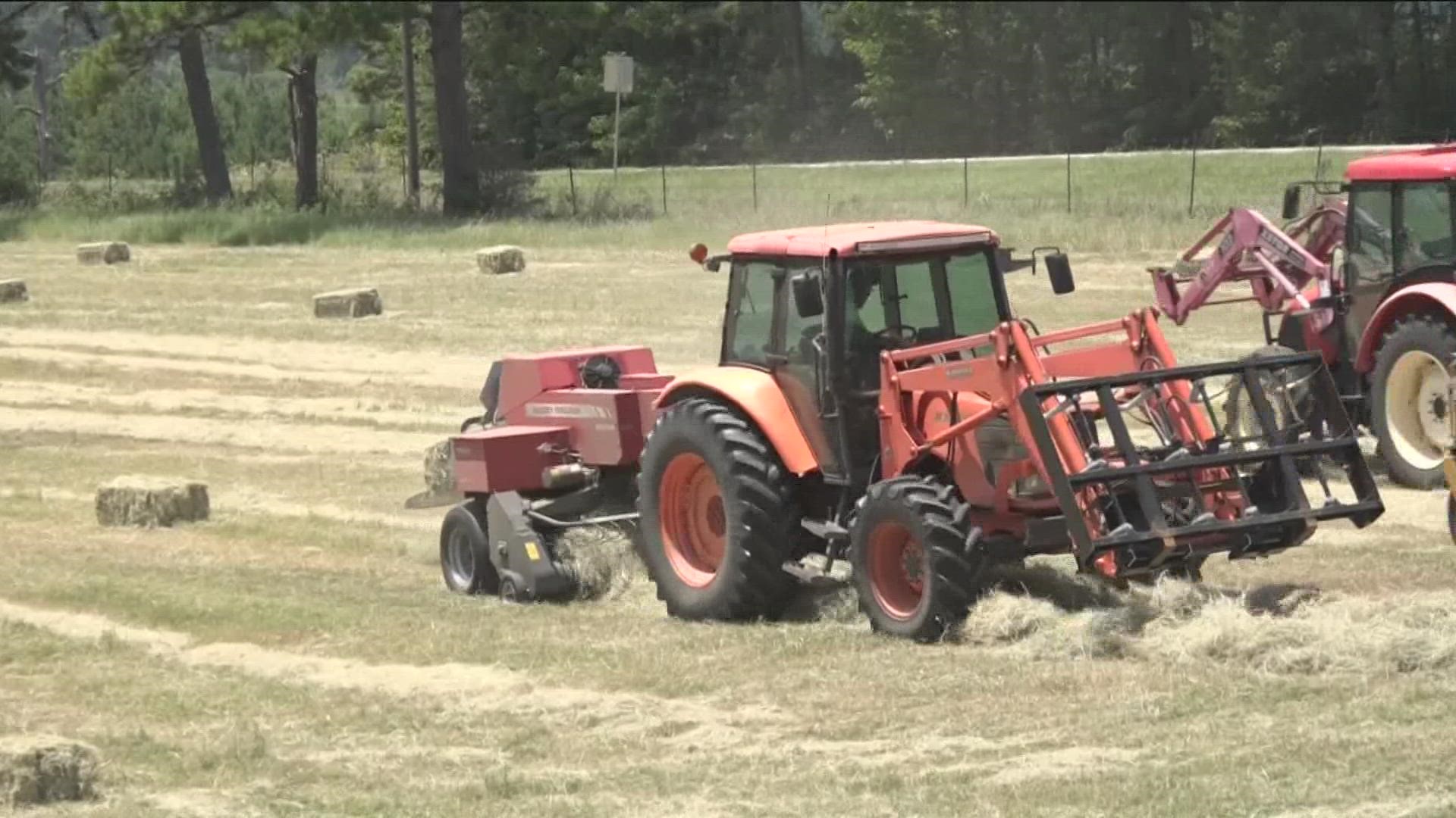 East Texas hay farms trying to bale the heat
