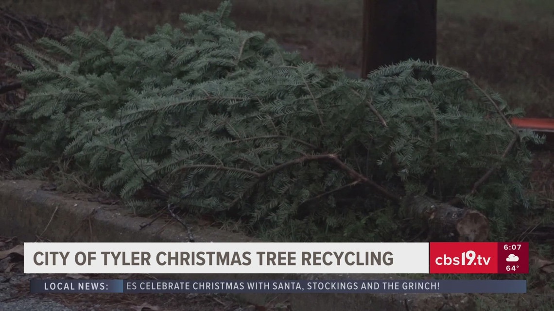 Tyler Encouraging Residents To Recycle Christmas Trees 