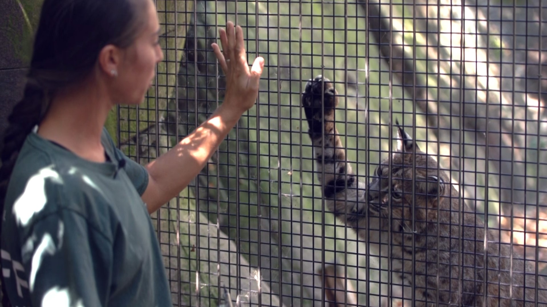 For more behind-the-scenes zoo content, watch CBS19 on Fridays for Exploring the Caldwell Zoo or visit cbs19.tv