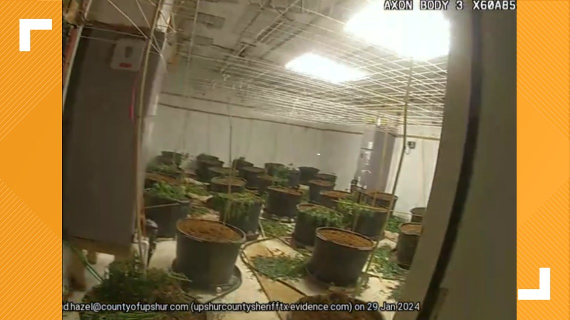 Explosion leads to discovery of 'significant' marijuana grow in Upshur County - Vimarsana News