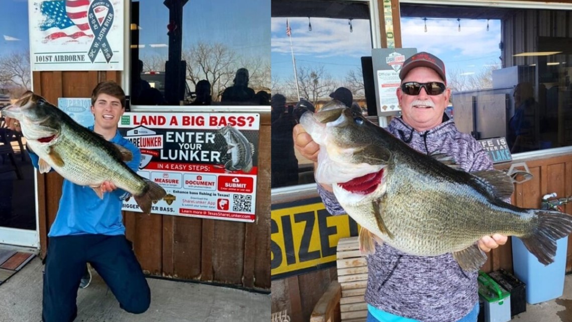 Two 14-pound Legacy Class largemouth bass caught on lake near San Angelo |  cbs19.tv