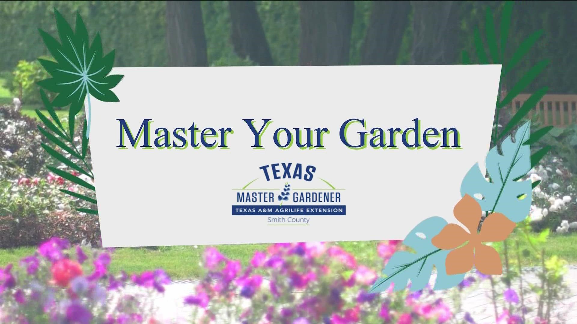 A Smith County master gardener explains the difference between pests and beneficial insects, and how to keep your garden healthy to protect the right insects