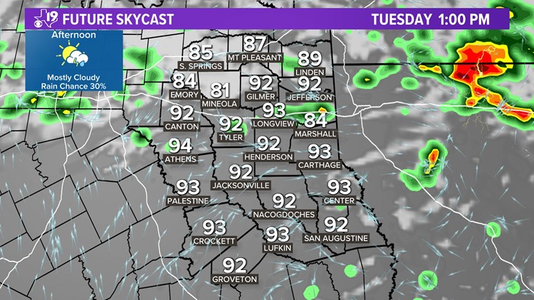 CBS19 WEATHER: Summer time thunderstorms in the forecast