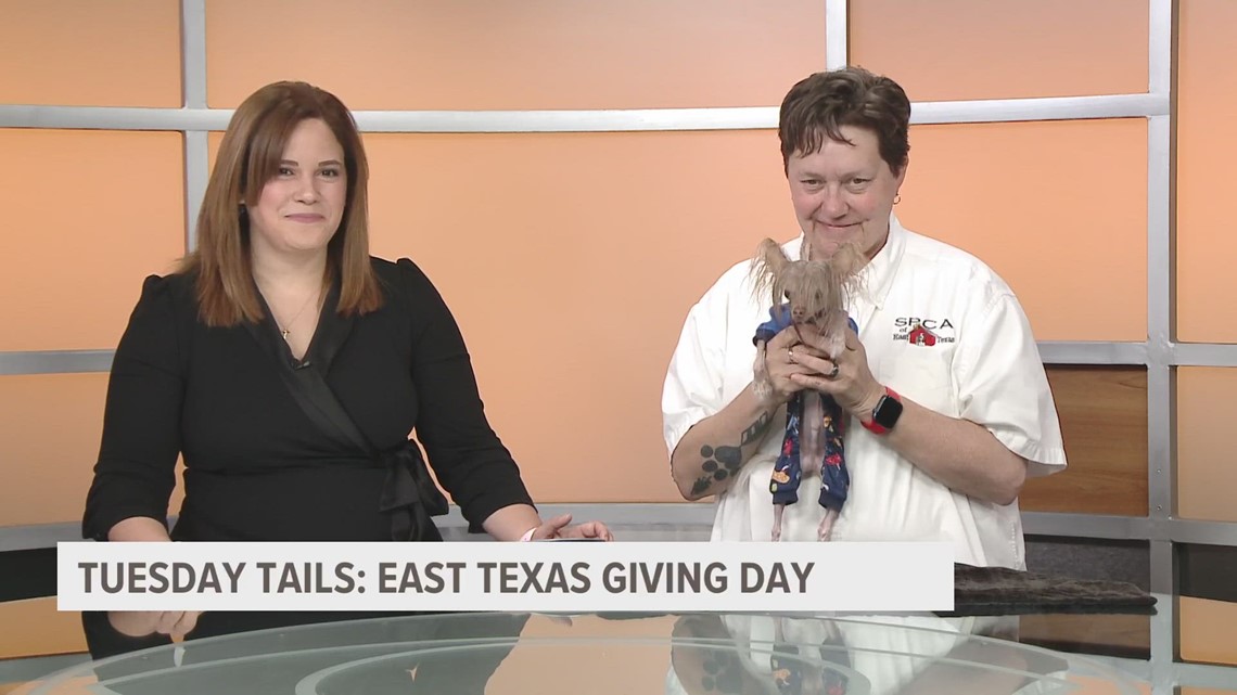TUESDAY TAILS: CBS19 spotlights SPCA of East Texas for East Texas Giving Day