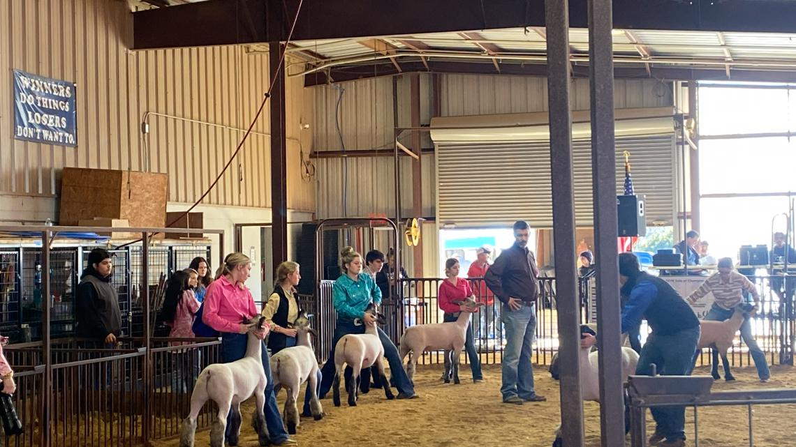 Students show animals, ag projects at Smith County Youth Expo - Vimarsana News