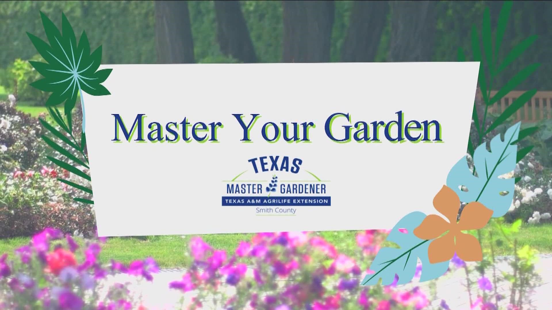 The Smith County Master Gardeners are getting ready for their monthly lecture at the Tyler Public Library.