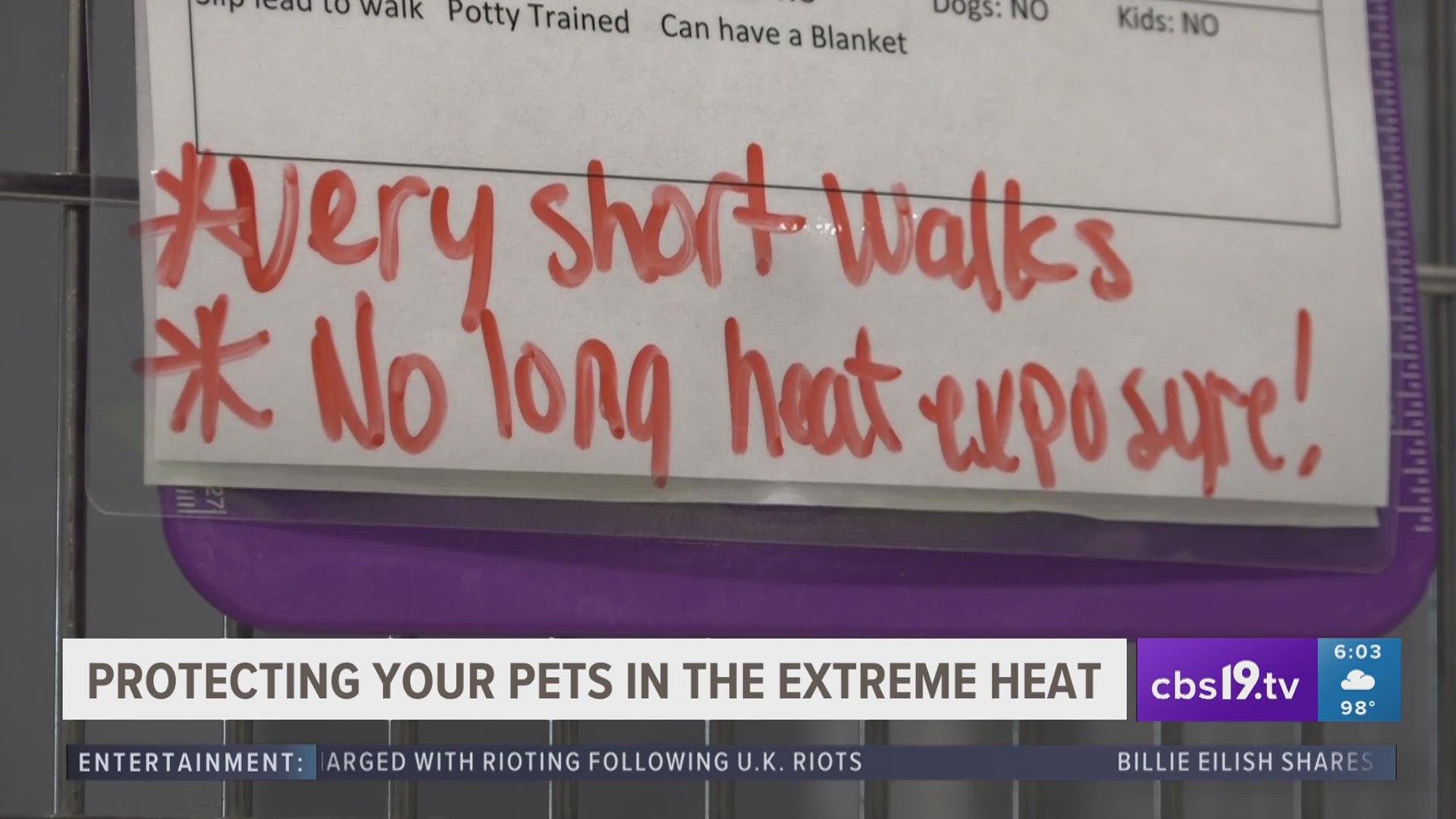 Pets may not be able to talk to us, but there are some signs to look for to stay aware when it comes to their safety in the heat.