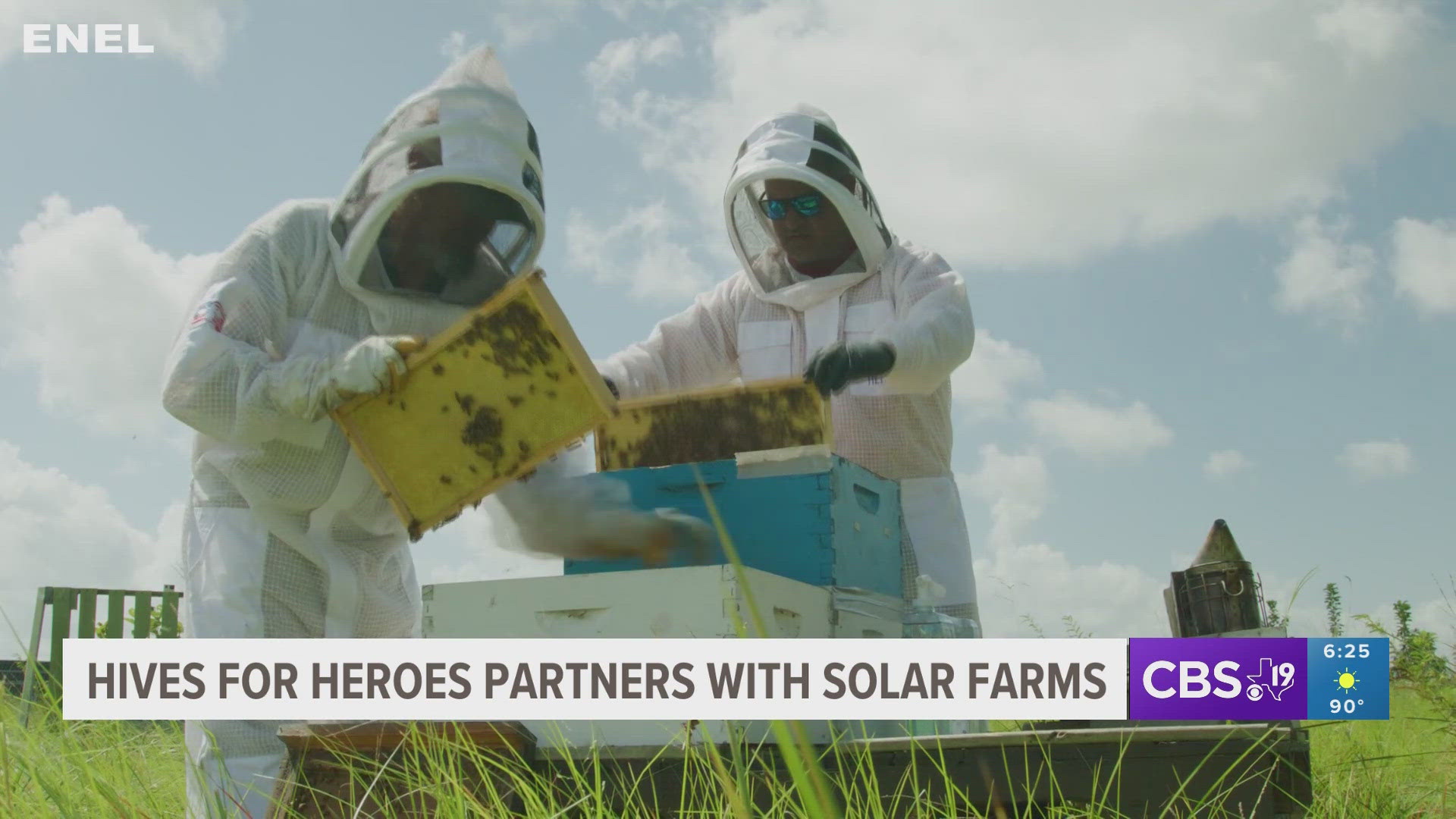 Veterans and first responders are finding new purpose through beekeeping in Texas.