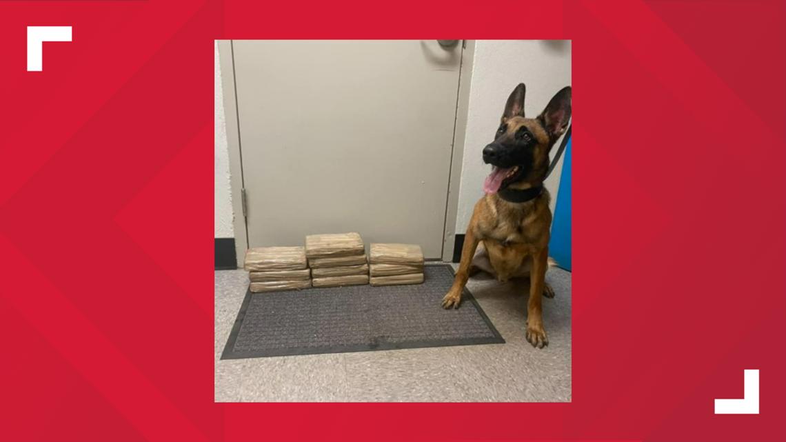 1 arrested after K9 officer finds over 20 pounds of cocaine | cbs19.tv