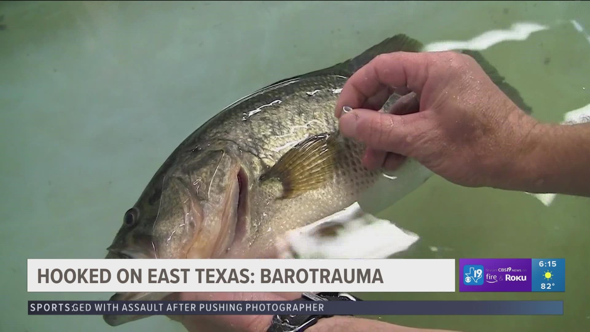 For more Hooked On East Texas stories, visit cbs19.tv/hooked-on-east-texas
