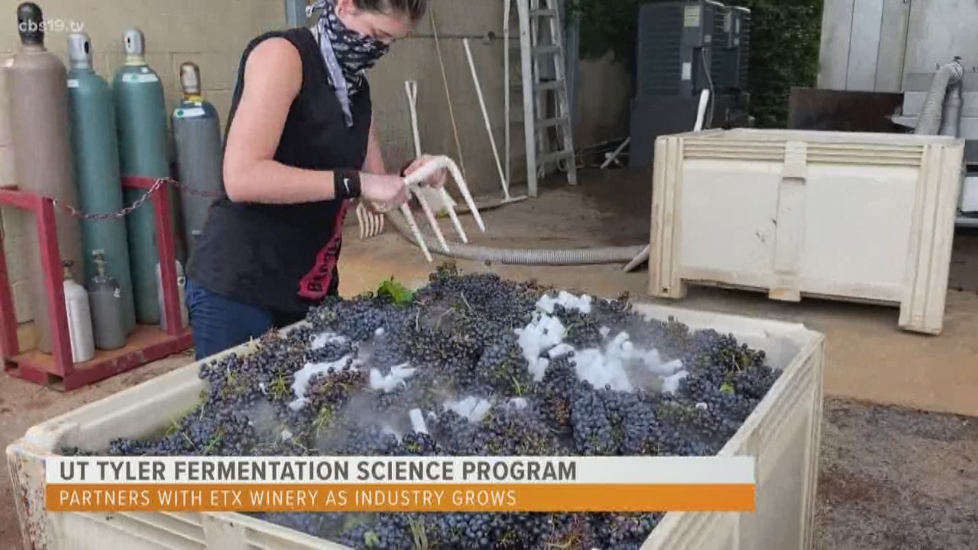 This summer students at UT Tyler have been learning firsthand about making wine at Kiepersol winery and distillery. The program is the first in East Texas.