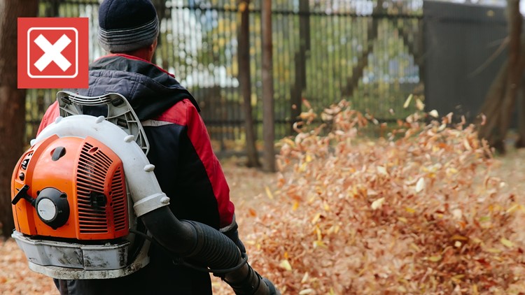 No, there is not a national ban on buying or using gas-powered leaf blowers