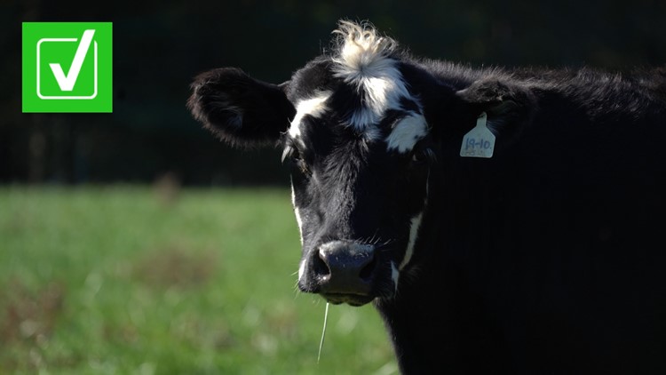 Yes, cattle are the top source of methane emissions in the US