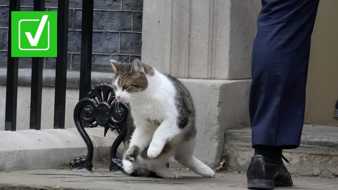 Larry the Cat has outlasted last 4 UK prime ministers cbs19.tv