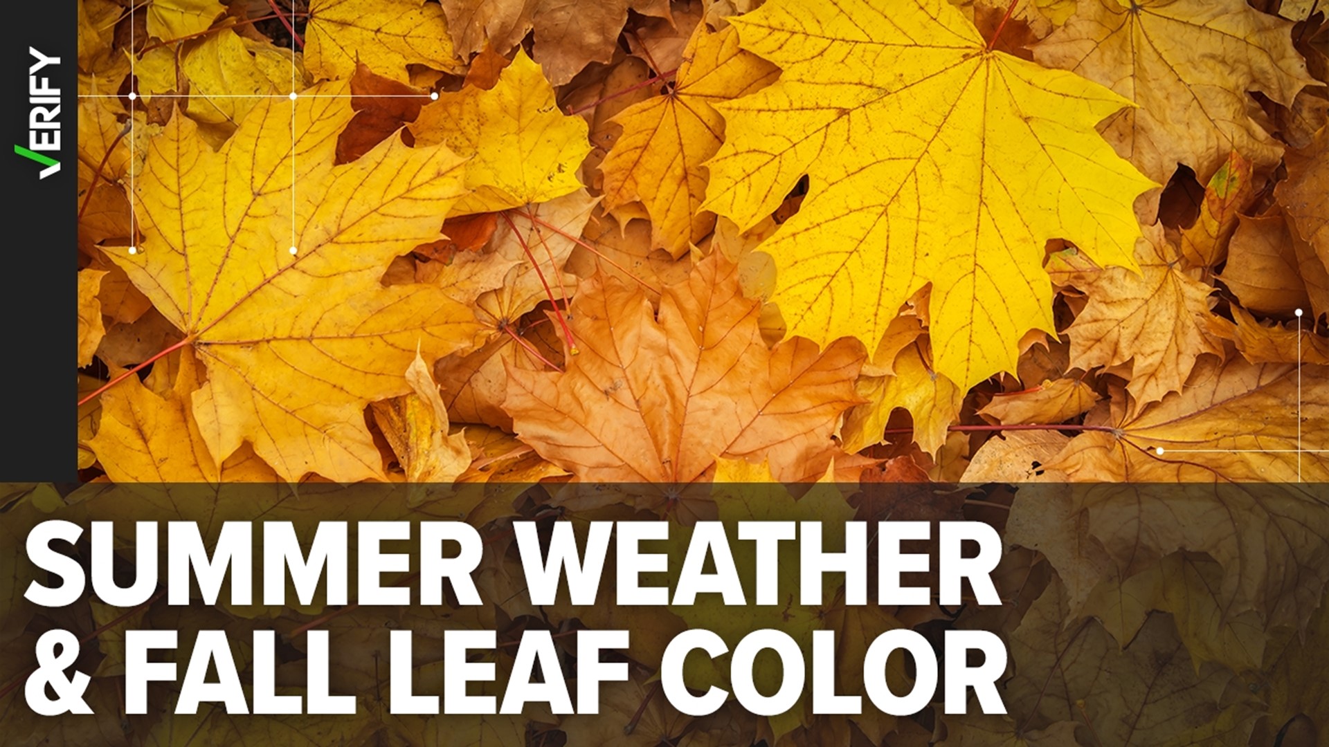 Here's everything you need to know about fall