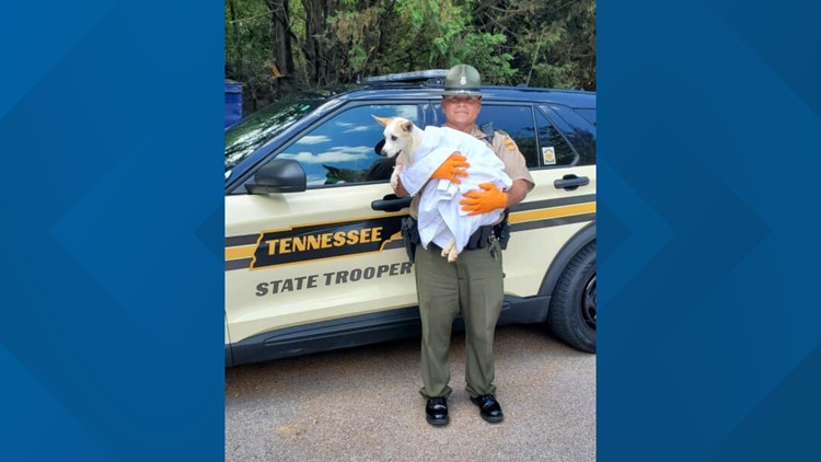Trooper adopts dog he rescued from extreme heat