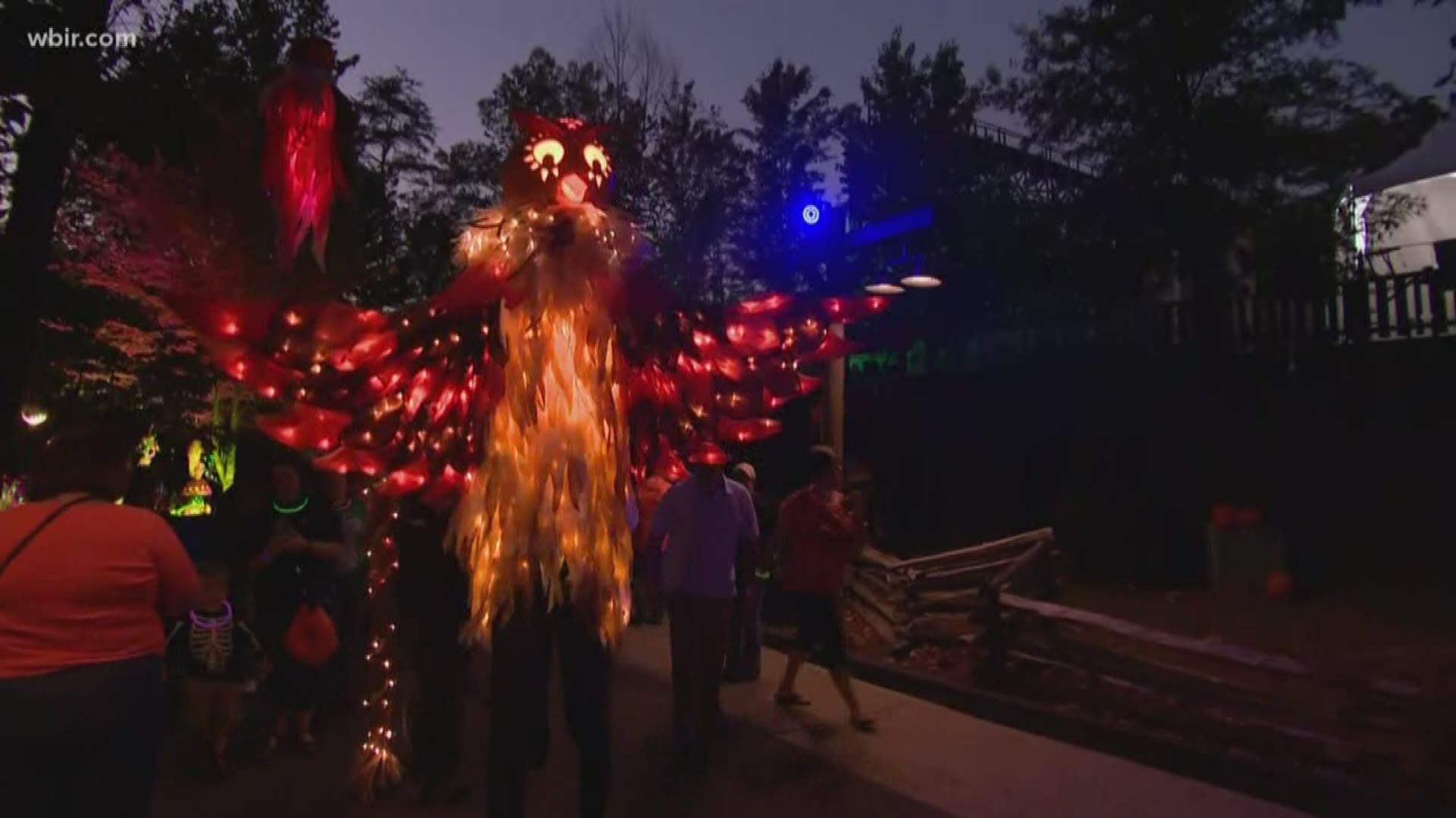 Dollywood's Great Pumpkin Luminights up for best Halloween event cbs19.tv