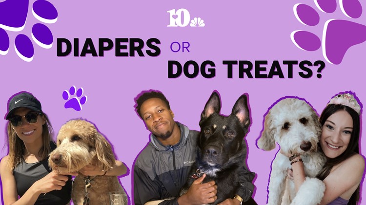 Diapers or dog treats? | More young people choosing to be pet parents before, instead of human parents