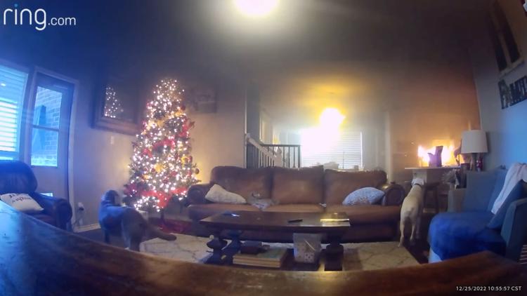 Family says dog started fire in Frisco home on Christmas morning