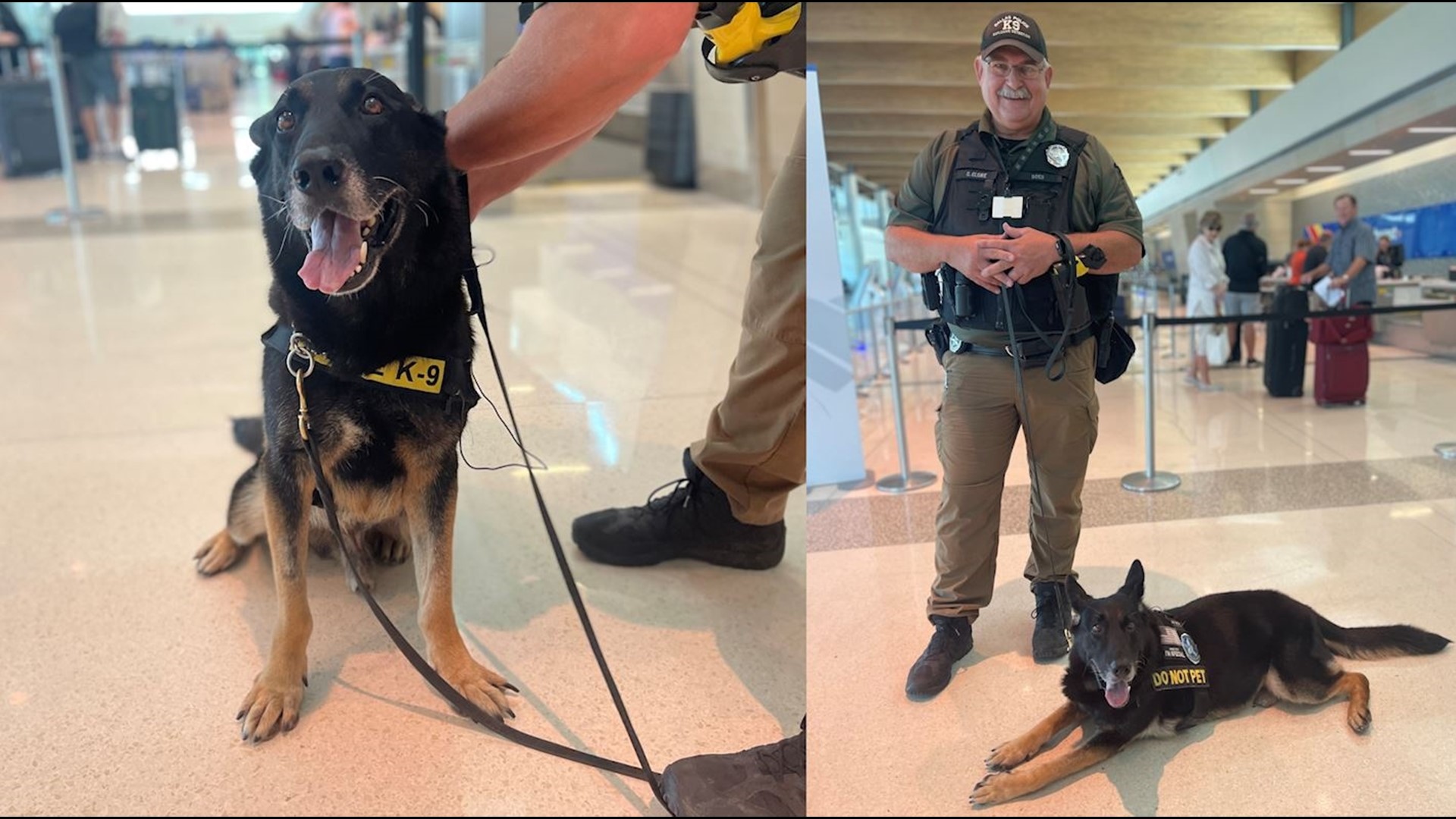 On duty, Marco is hyper, with a focused gaze and perked ears. His nose takes him from trash bins to suitcases, covering every corner of the airport.