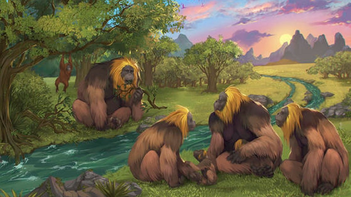 Scientists: World's largest ape extinction mystery finally solved - Vimarsana News