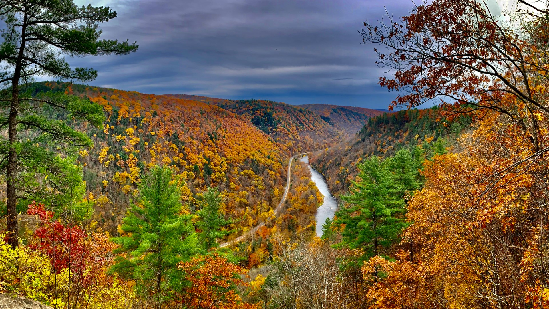 Weather impacts fall colors in Pa. with peak foliage coming a week