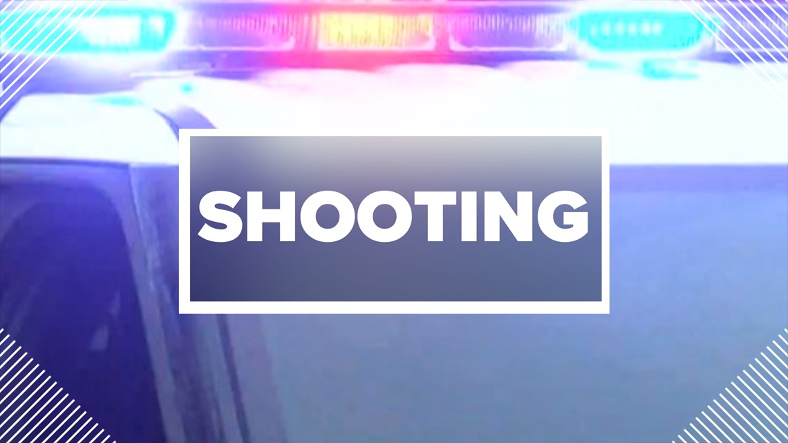 POLICE: East Texas toddler in critical condition after finding gun, shooting self in head - Vimarsana News