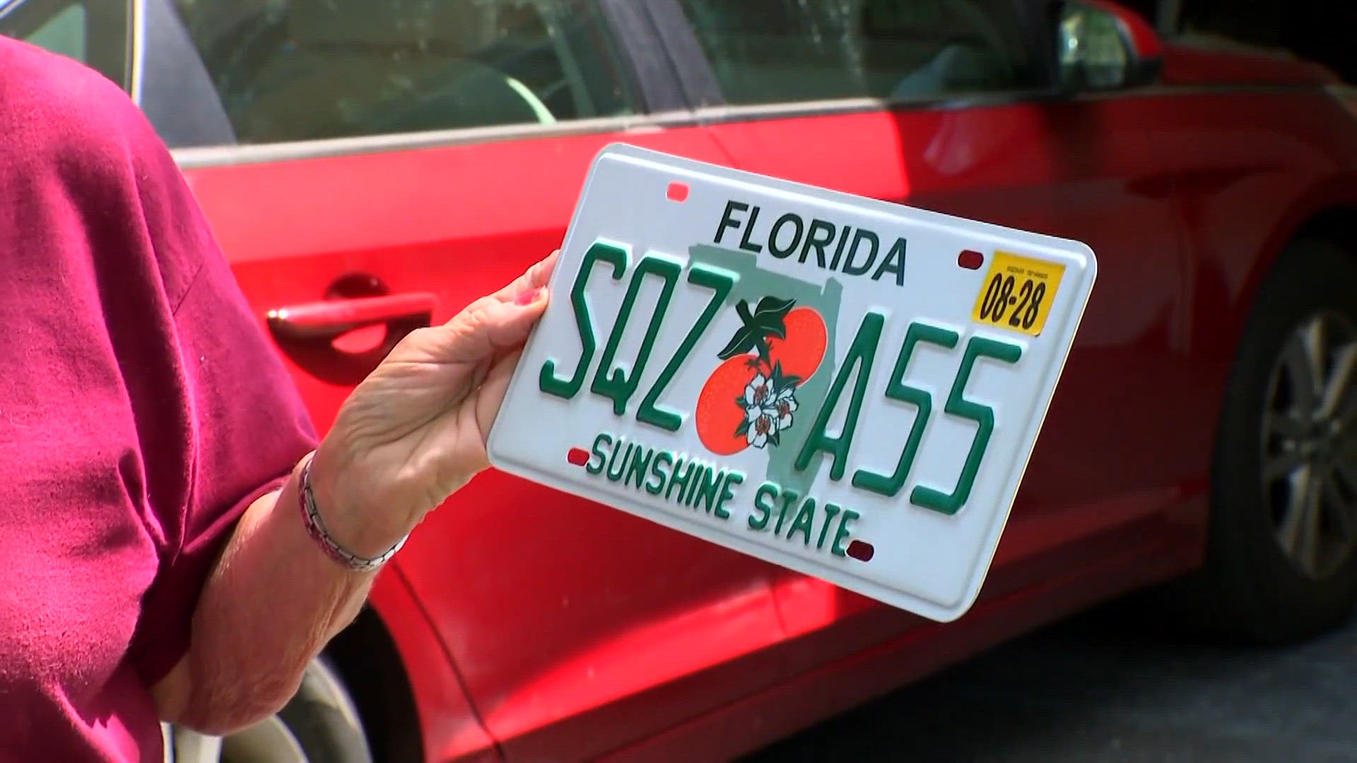 Florida woman's new license plate carries unexpectedly risqué