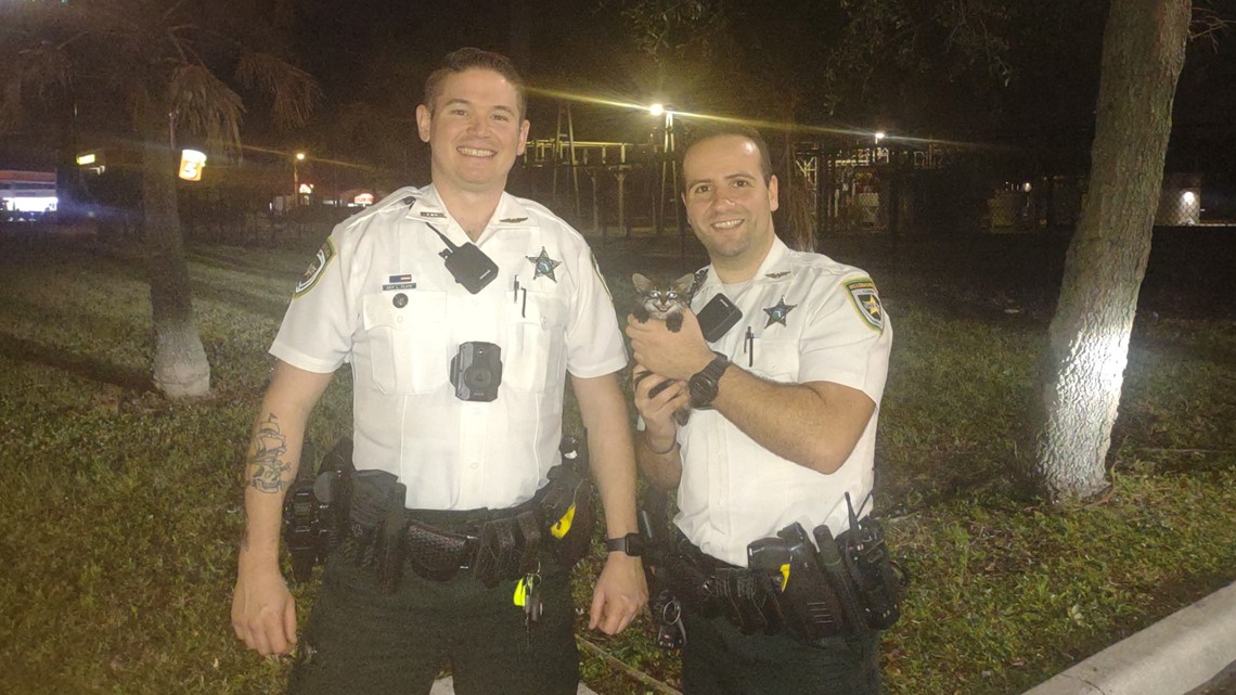 Kitten rescued from inside Hillsborough County storm drain | cbs19.tv