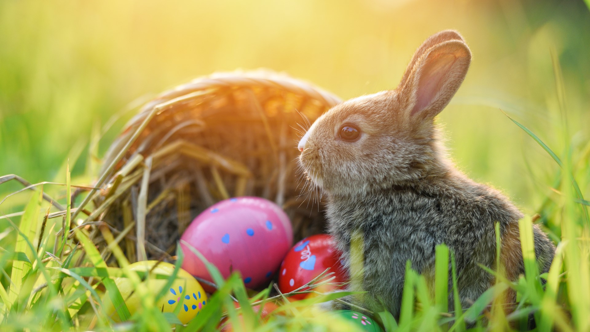 Easter events happening around East Texas cbs19.tv