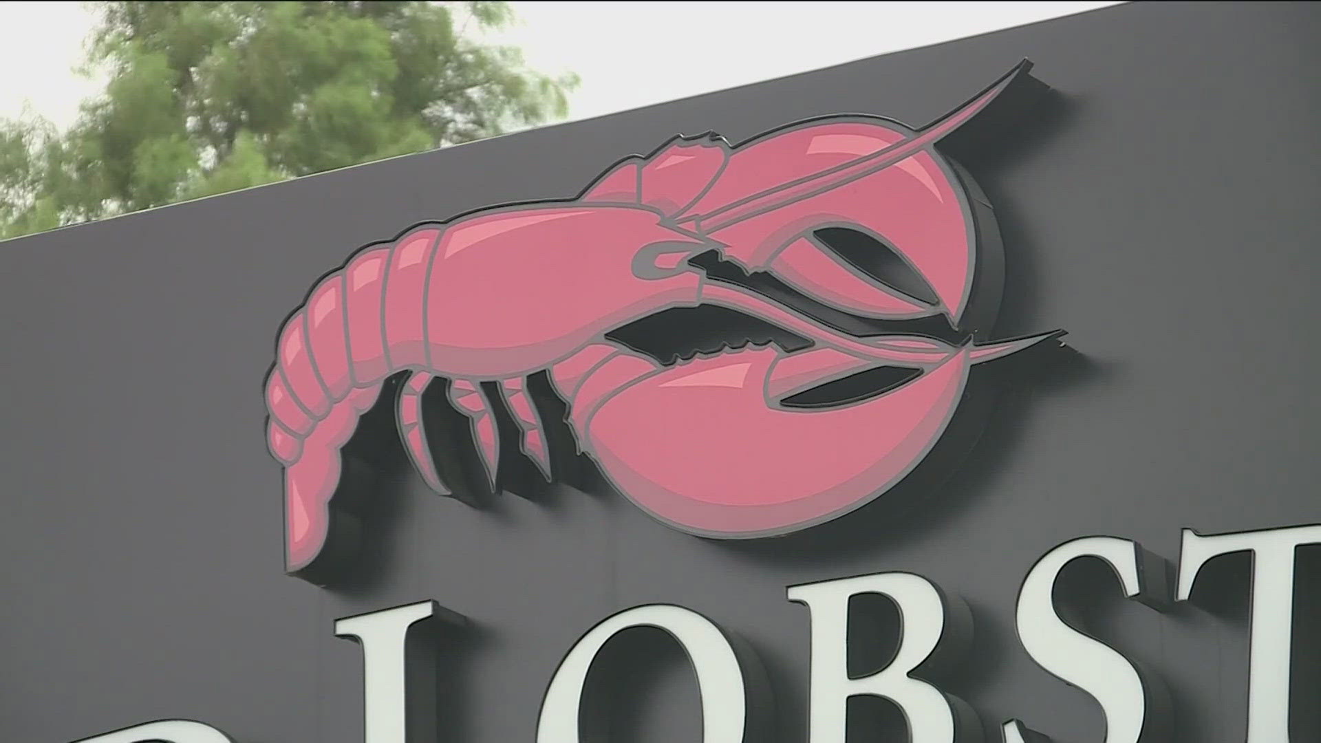 Red Lobster addresses bankruptcy filing after restaurant closures