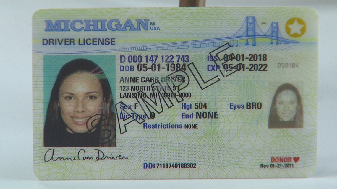 Driver s license. Michigan Driver License. Driver License Italy. Driver License permit. Driving licence.