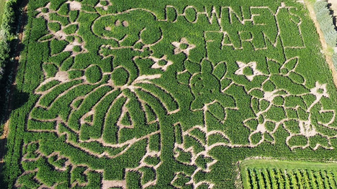 Farmers honor 'Peanuts' creator Charles M. Schulz with corn mazes ...